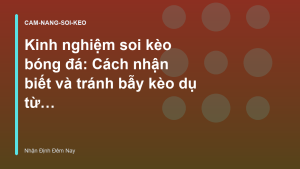 Read more about the article Kinh nghiệm soi kèo bóng đá: Cách nhận biết và tránh bẫy kèo dụ từ nhà cái